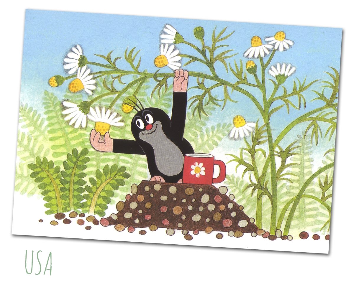 Кротик чешский раскраска