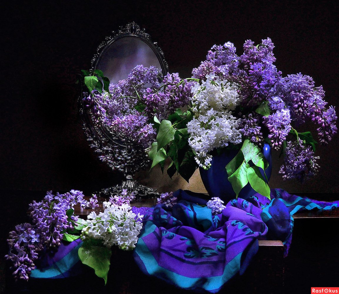 Сиреневый вечер