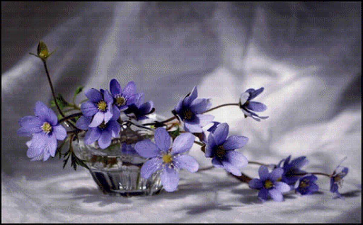 Нежного весеннего вечера