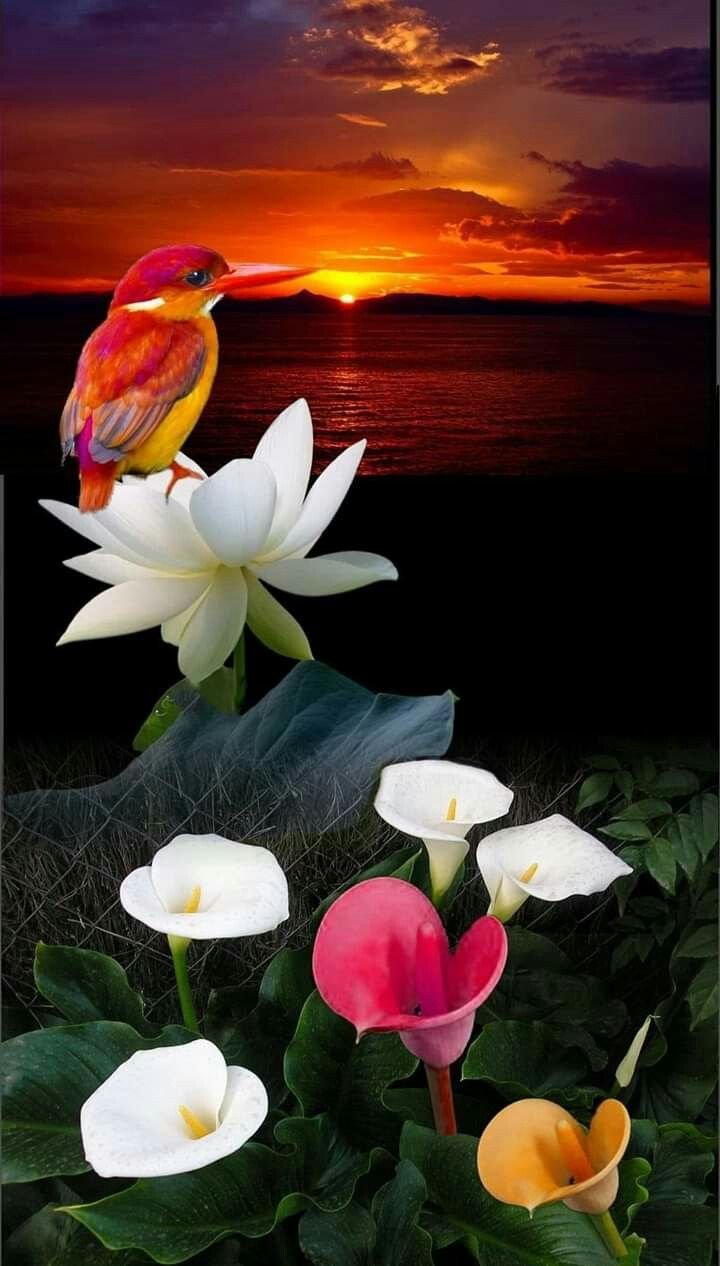 Добрый вечер красивые необычные