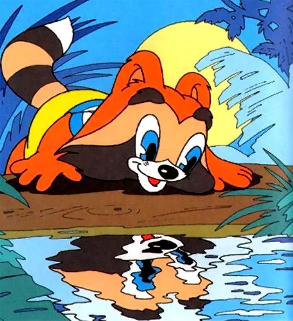 Крошка енот 1974