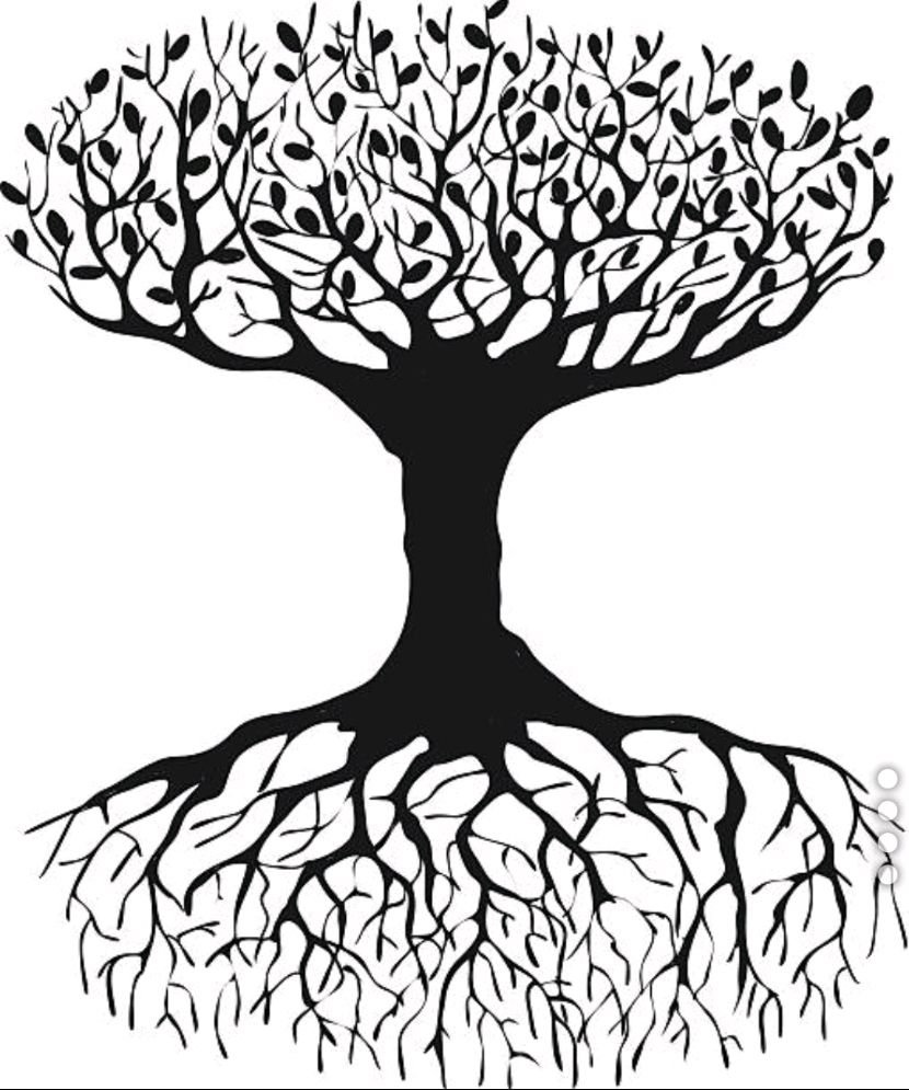 Дерево с корнями контур