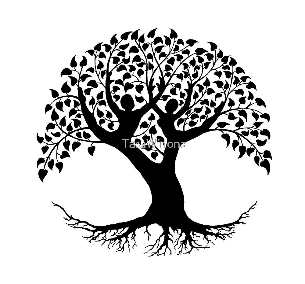 Корни дерева Минимализм