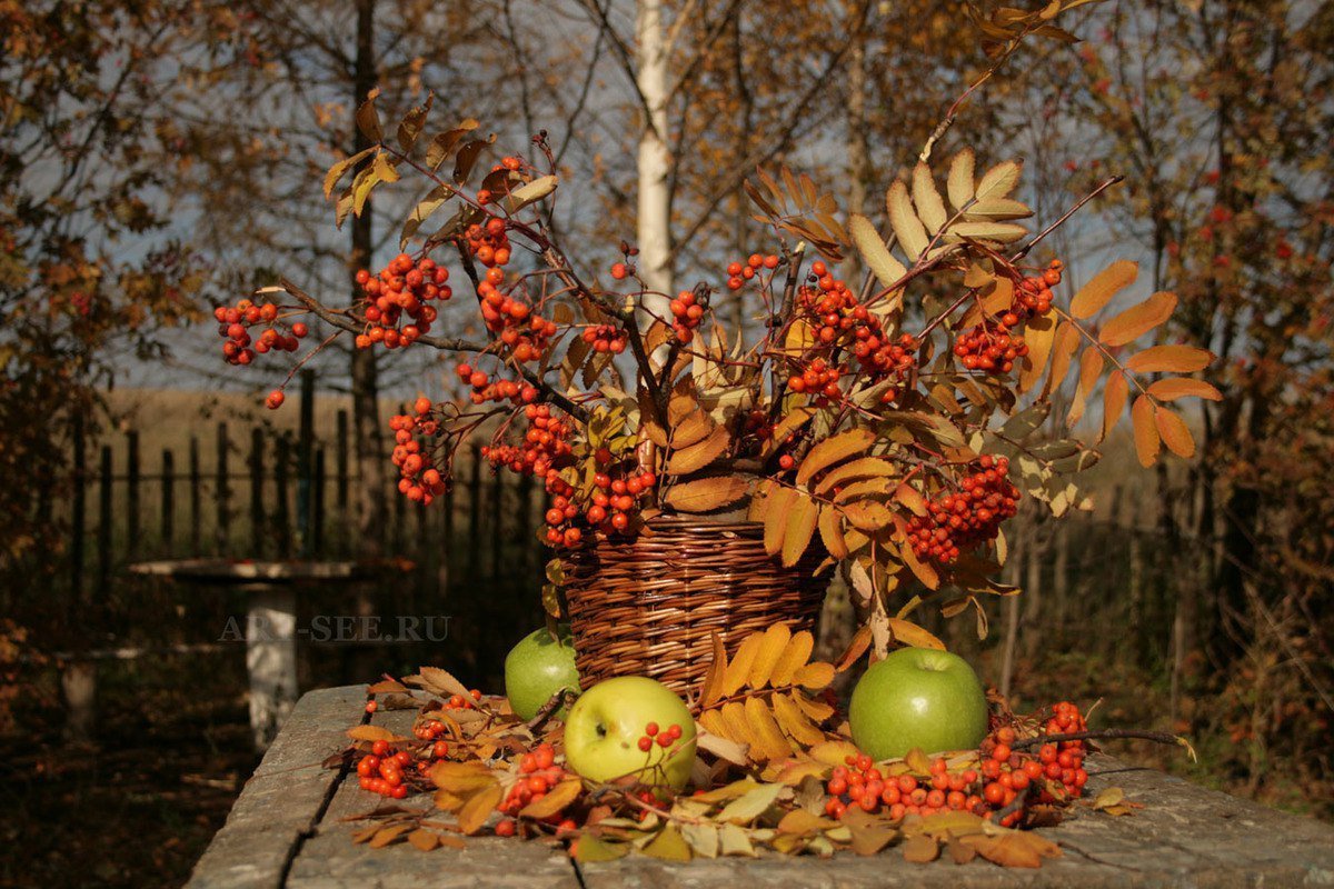 Осенний букет с яблоками и рябиной