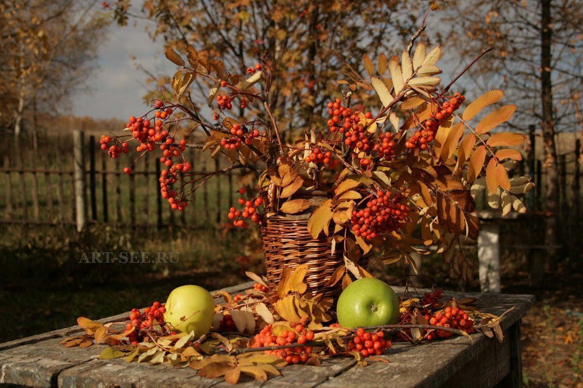 Осенний сад