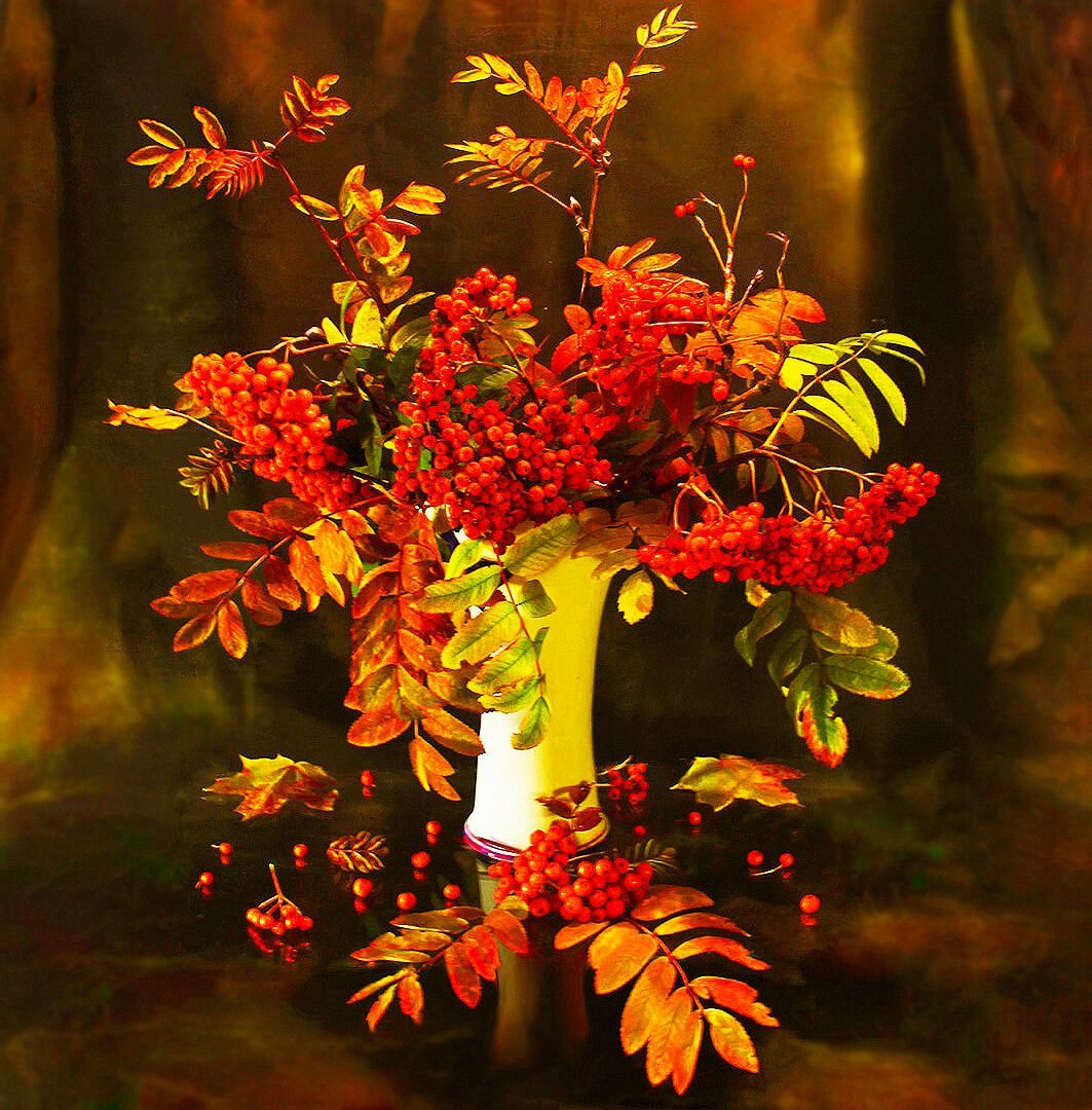 Кленовый Рябиновые дубовын