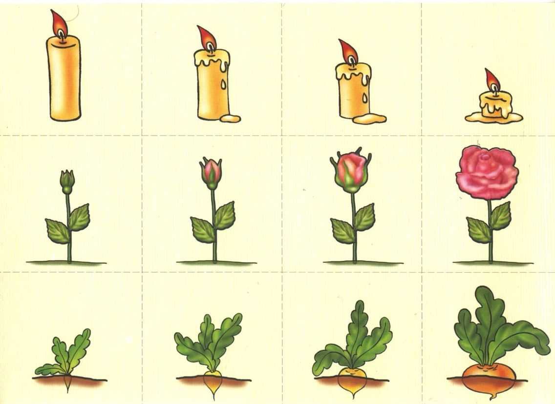 Логические Цепочки для дошкольников