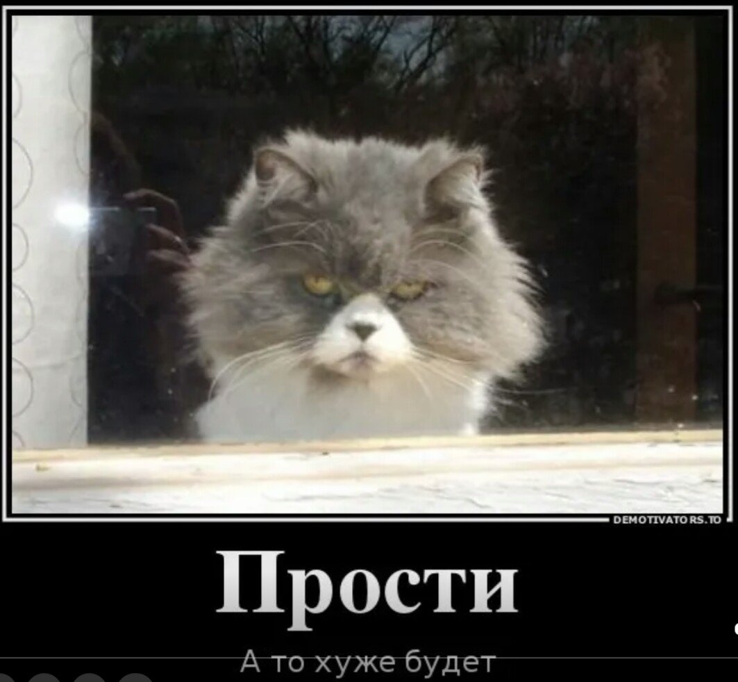 ПРДРУЗЬЯ проститеиеня