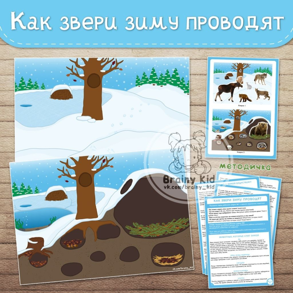 Плакат зимующие звери