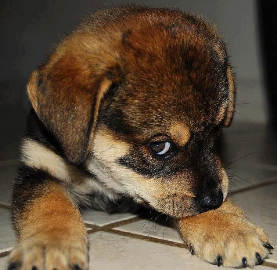 Демотиваторы прощенное воскресенье