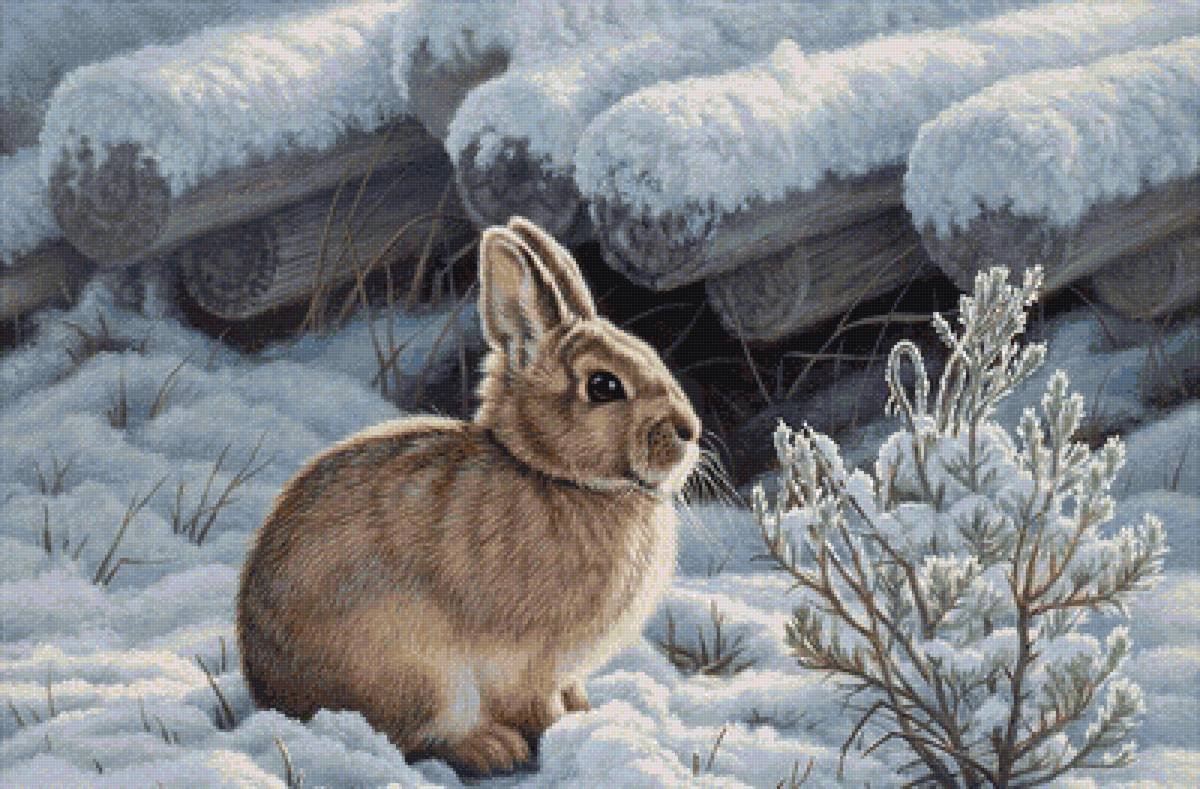 Художник - анималист Paul Krapf