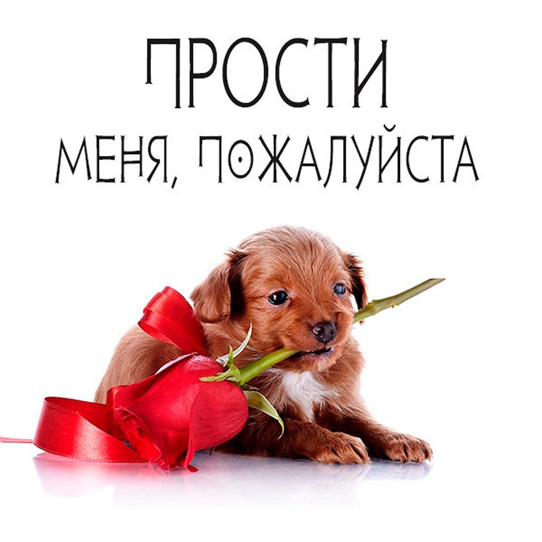 Симоненко Ксения Феодосия