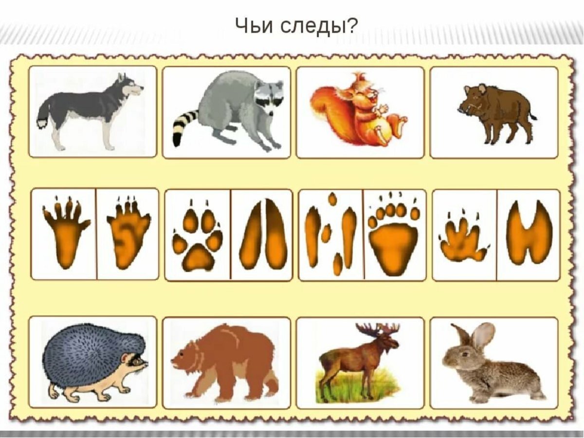 Лексическая тема Дикие животные