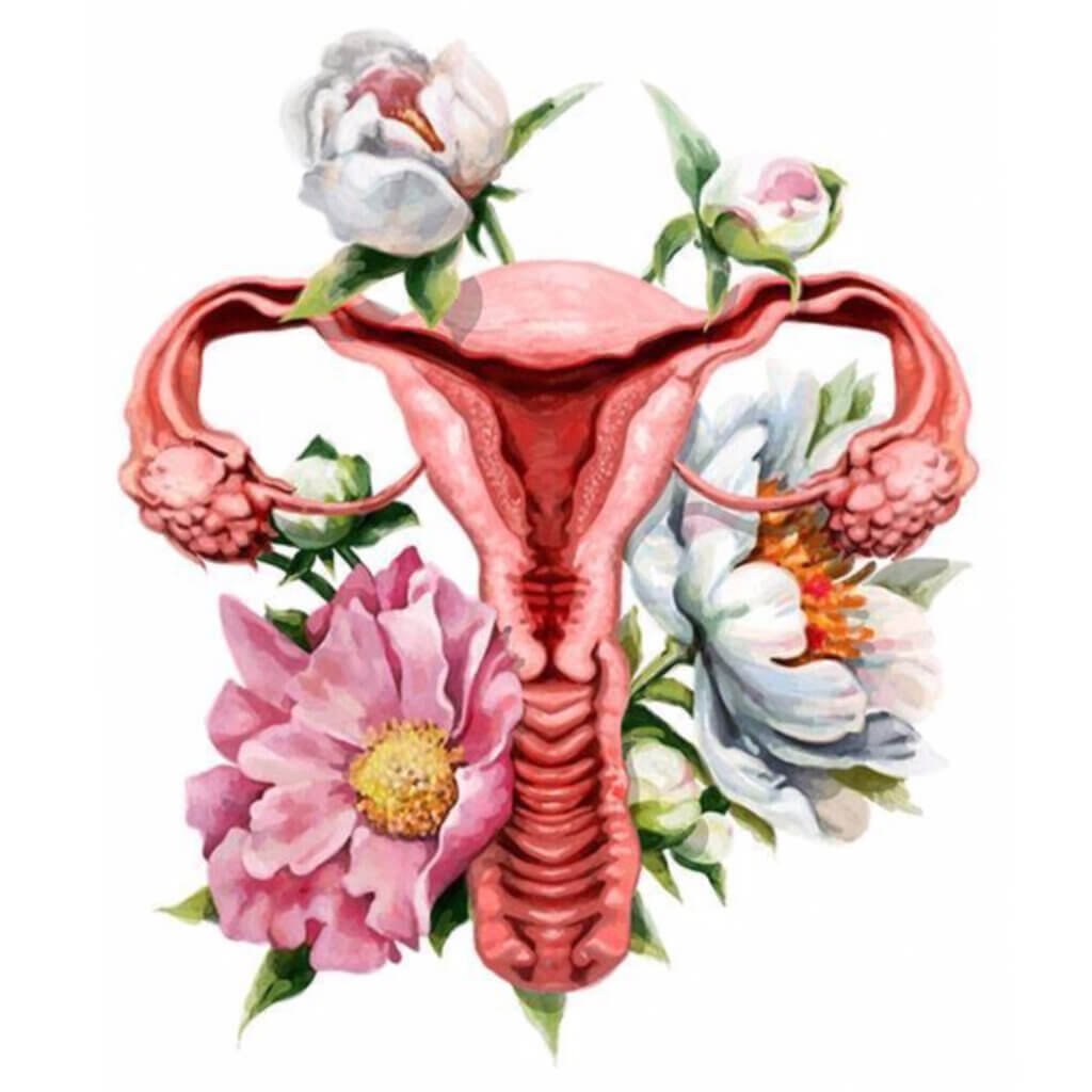 Красивая матка