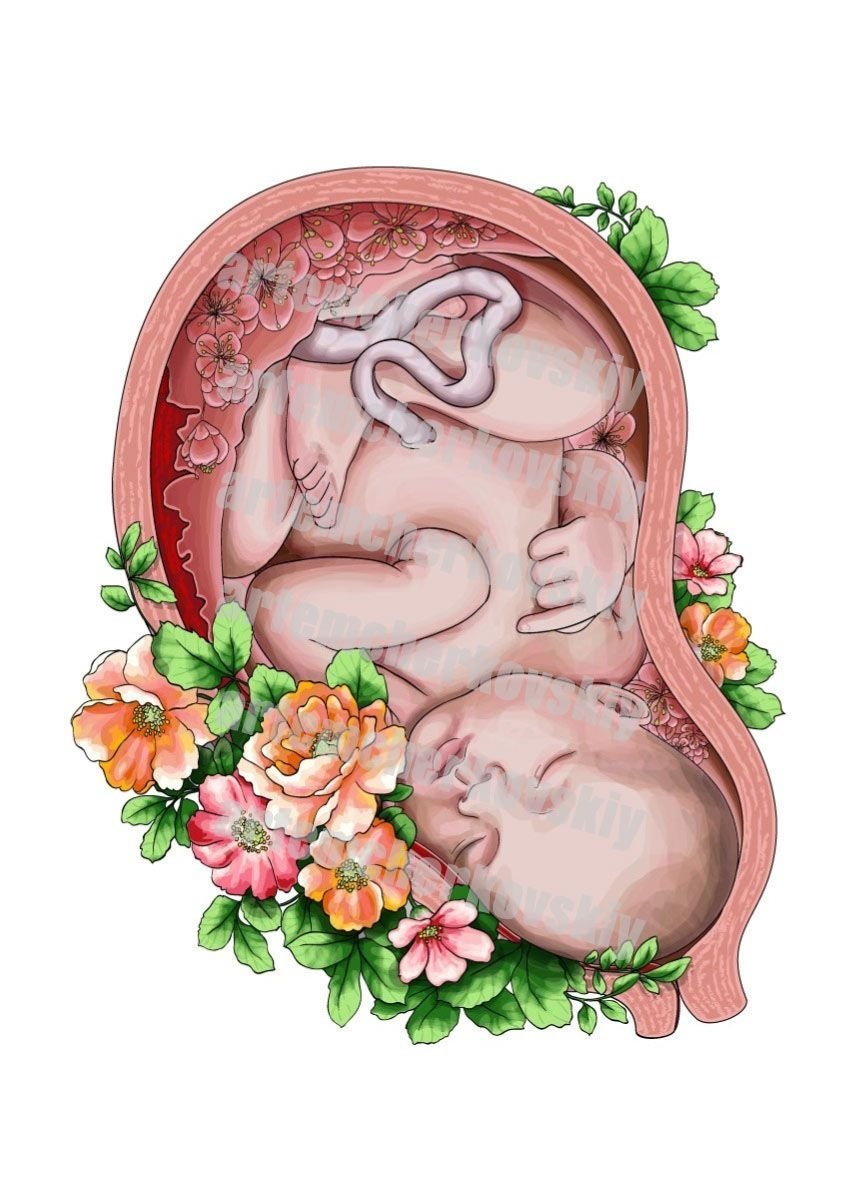 Акушерство иллюстрации