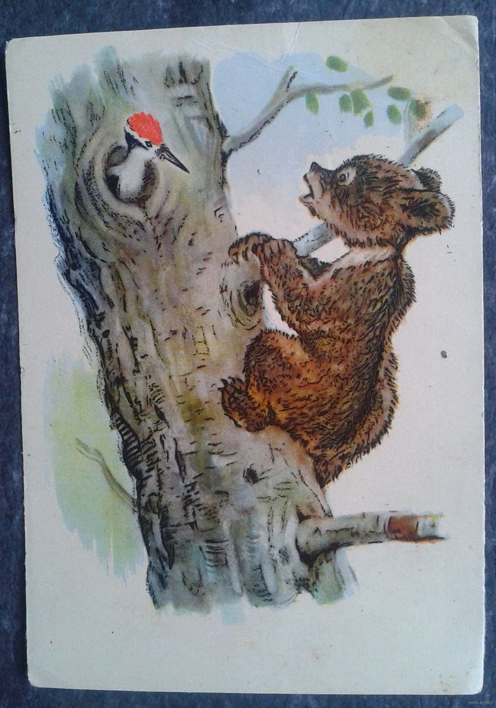 Бианки музыкант картинки