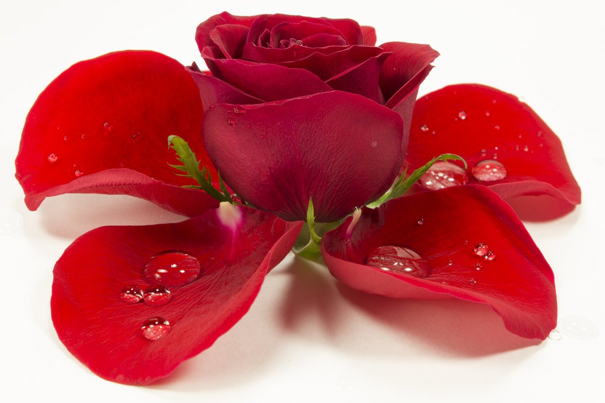 Красивые открытки для девушки