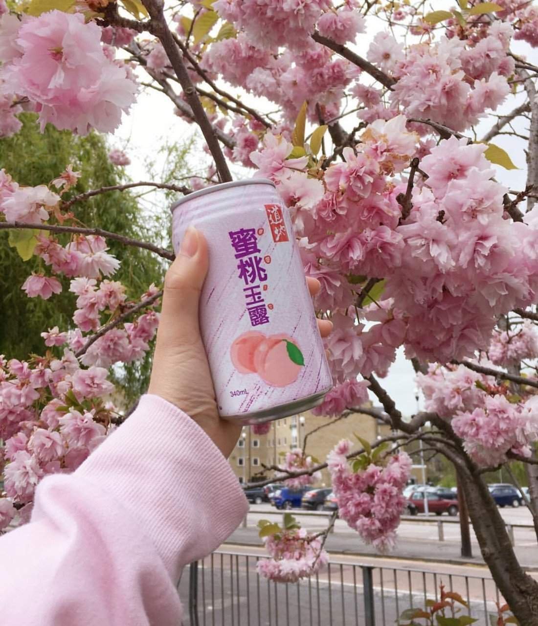 Весна в Японии Эстетика