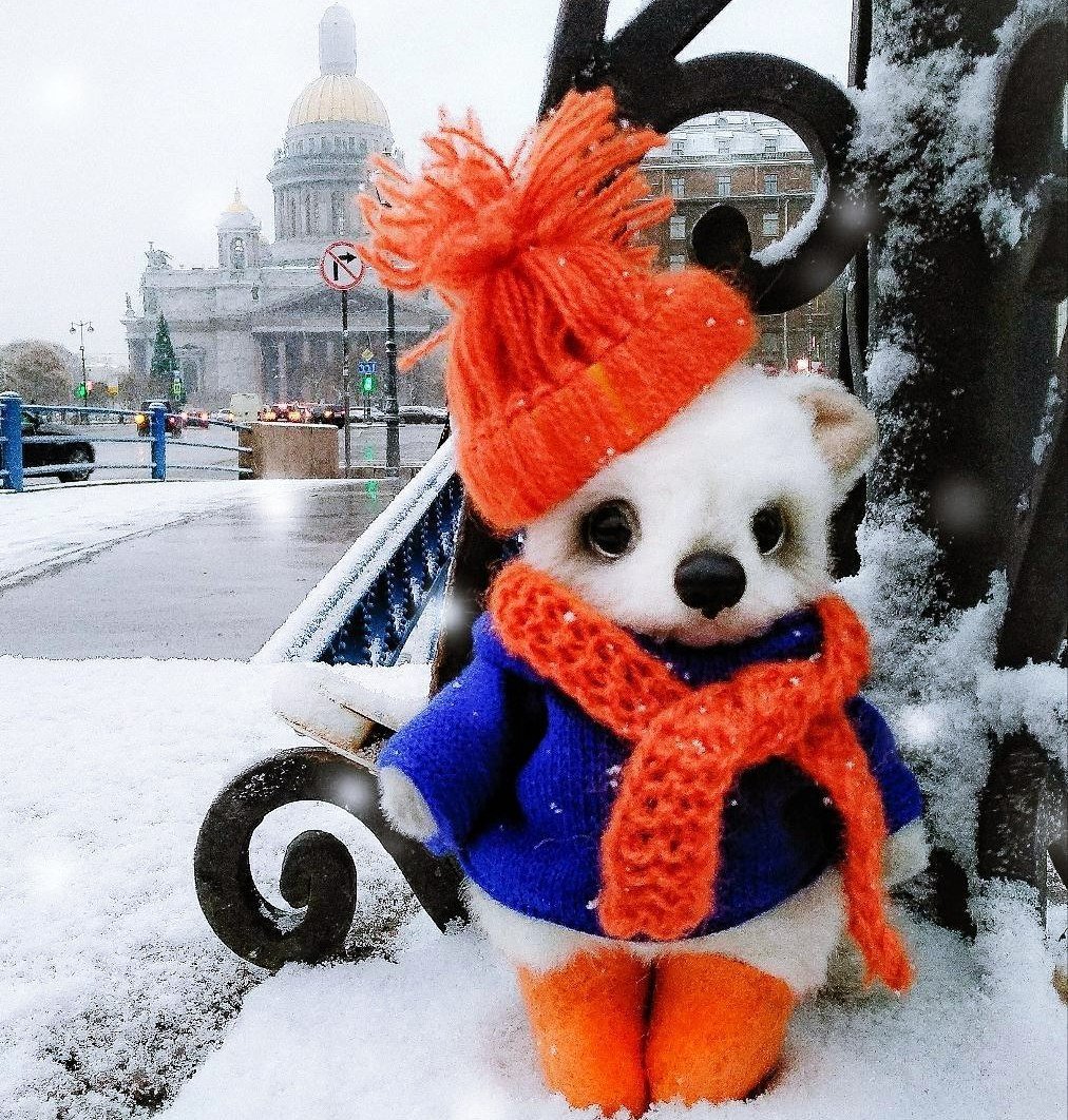 Дратути заяц