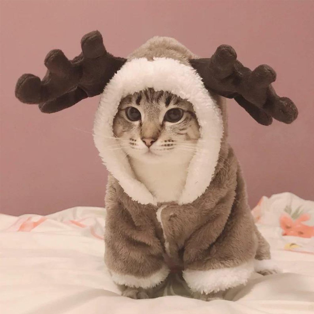 Холодно осенью