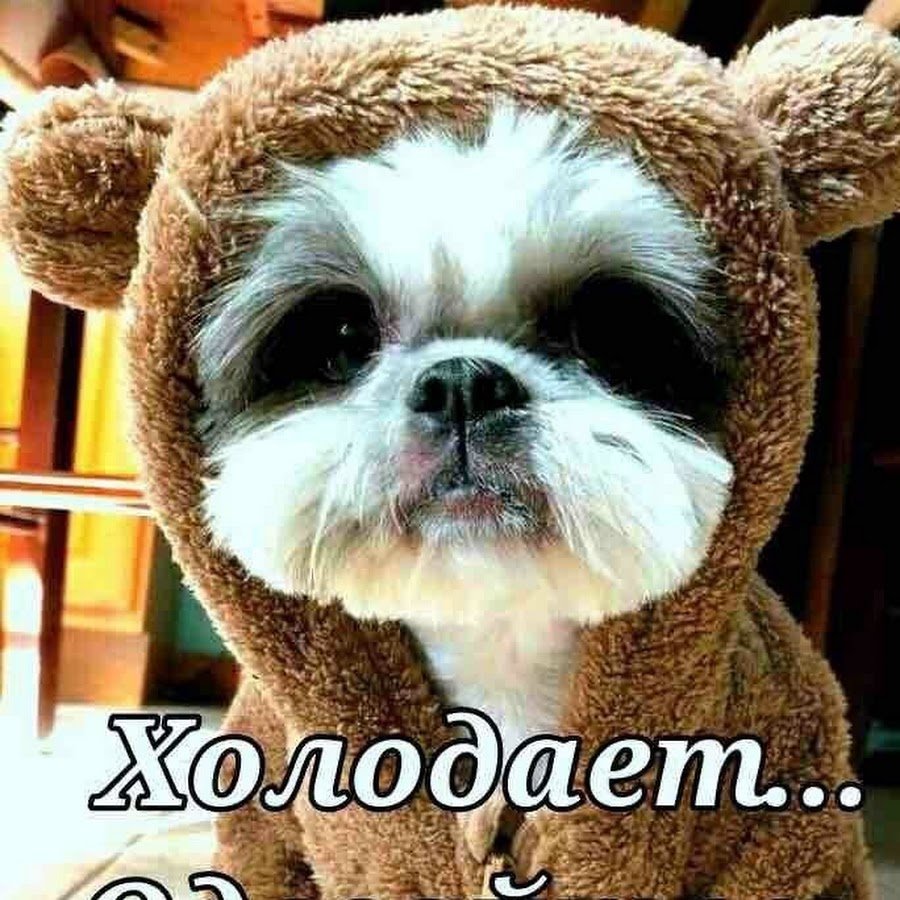 Холодает одевайтесь