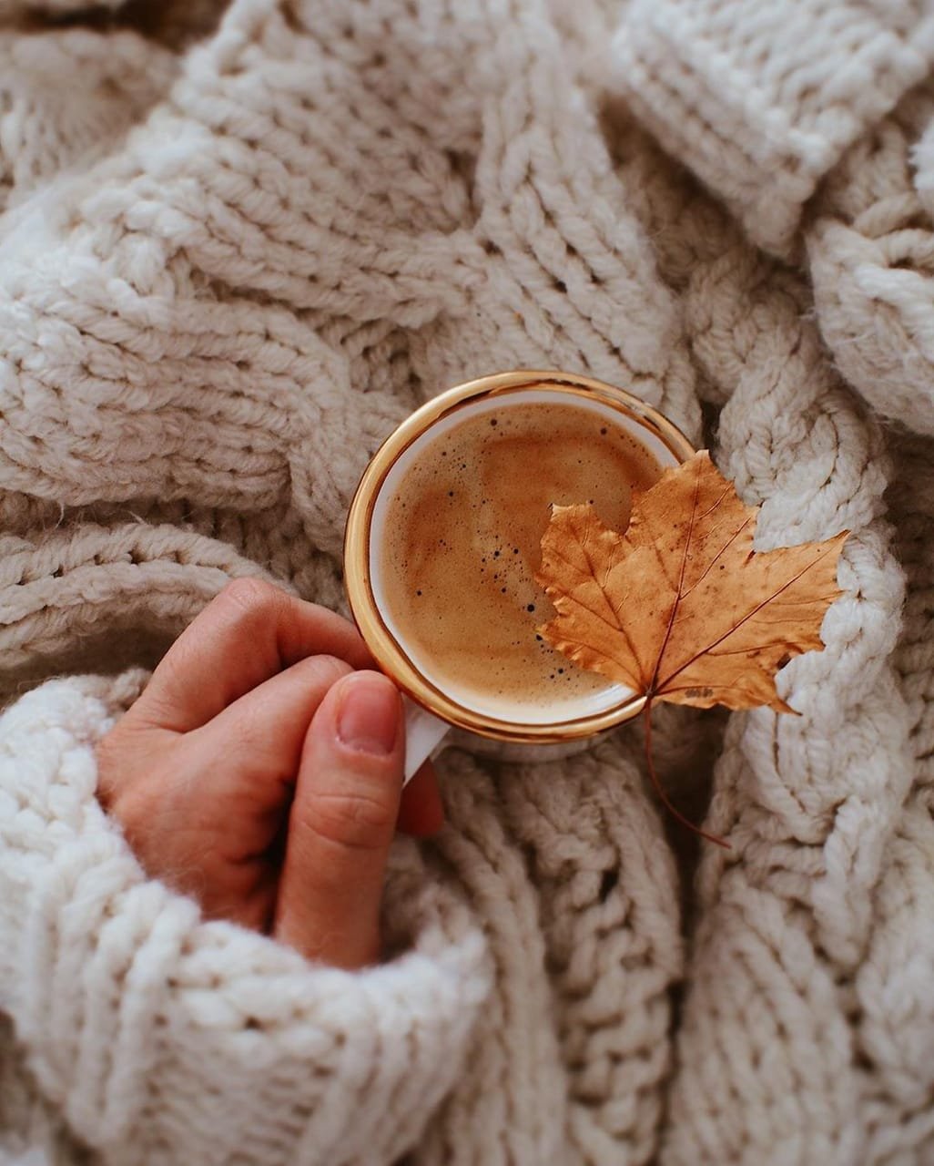 Кот в зимней одежде