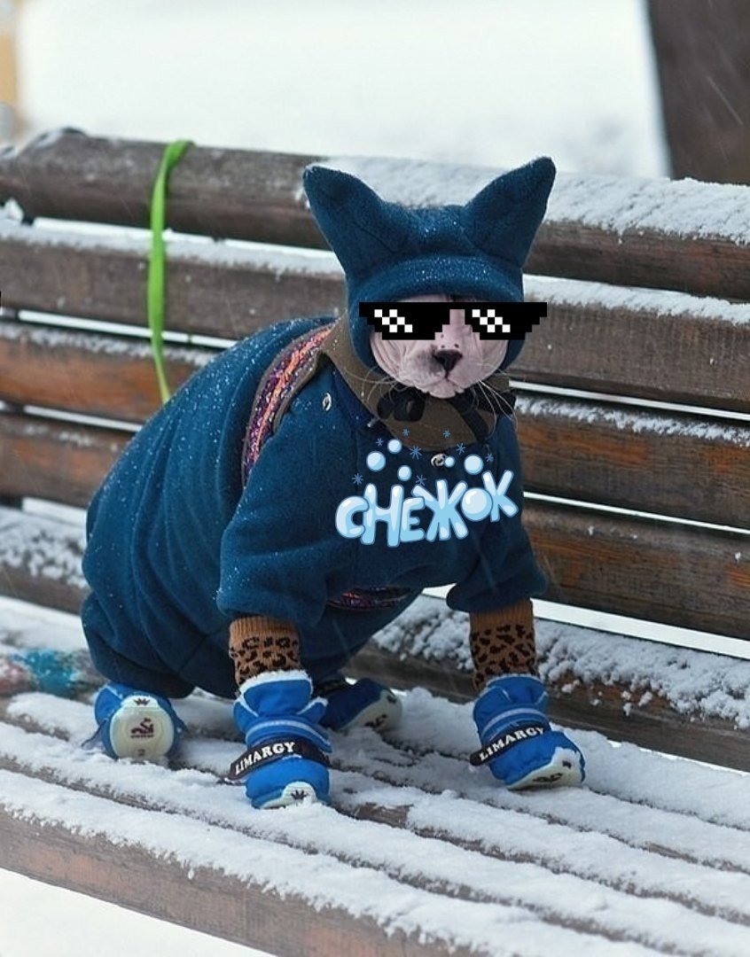 Шапка "собачка"