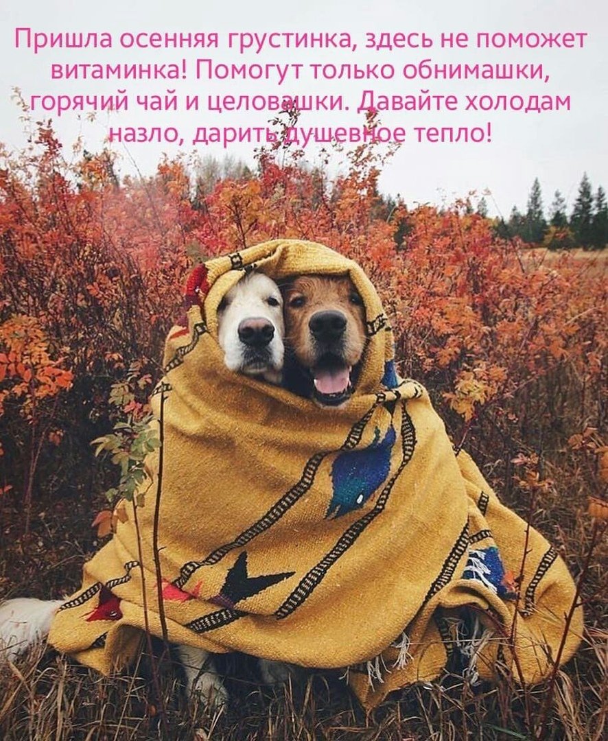 Доброе осеннее утро прикольные