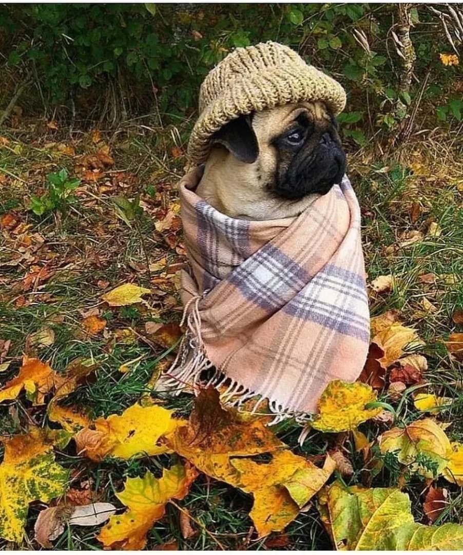 Не замерзни