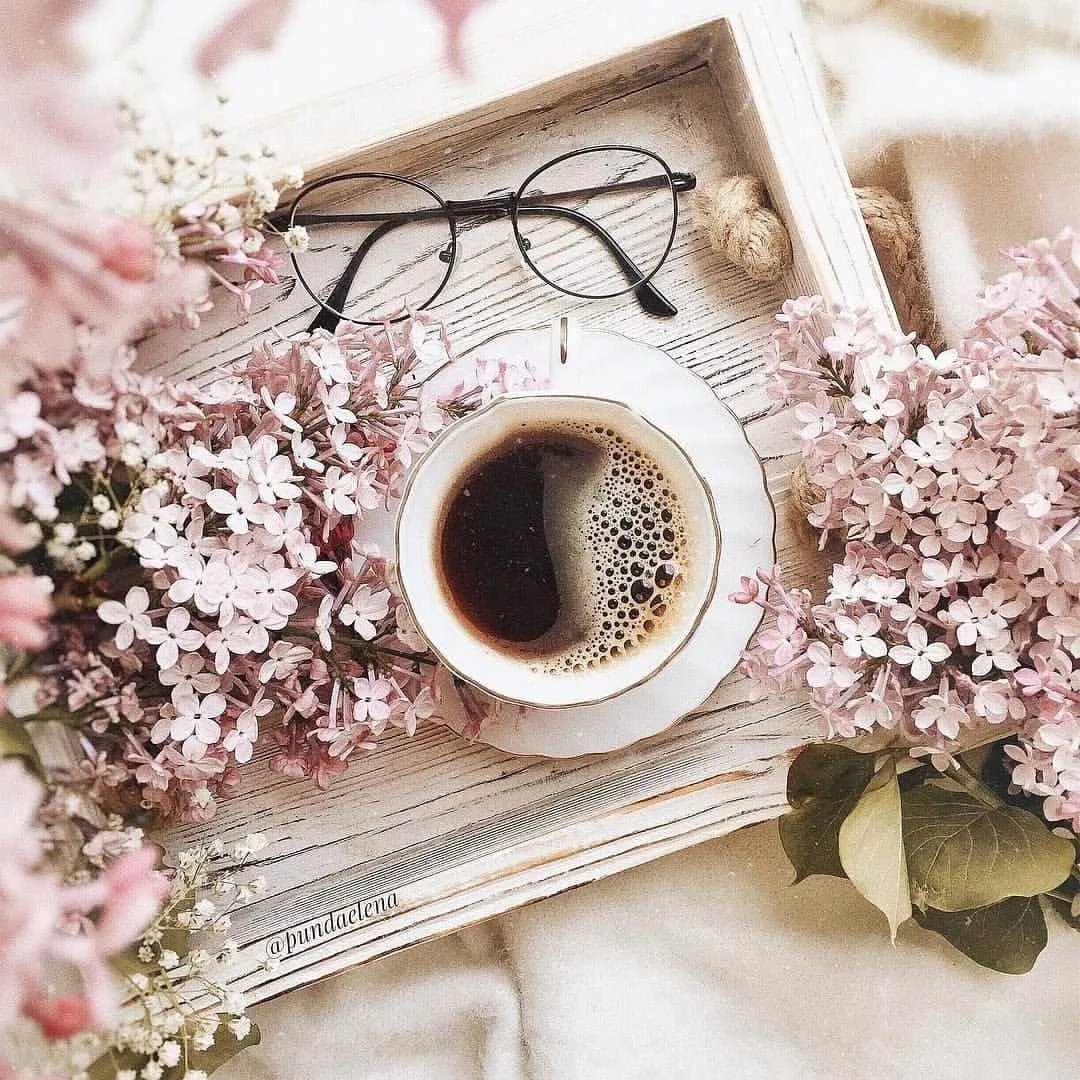 Кофе цветы утро стильные