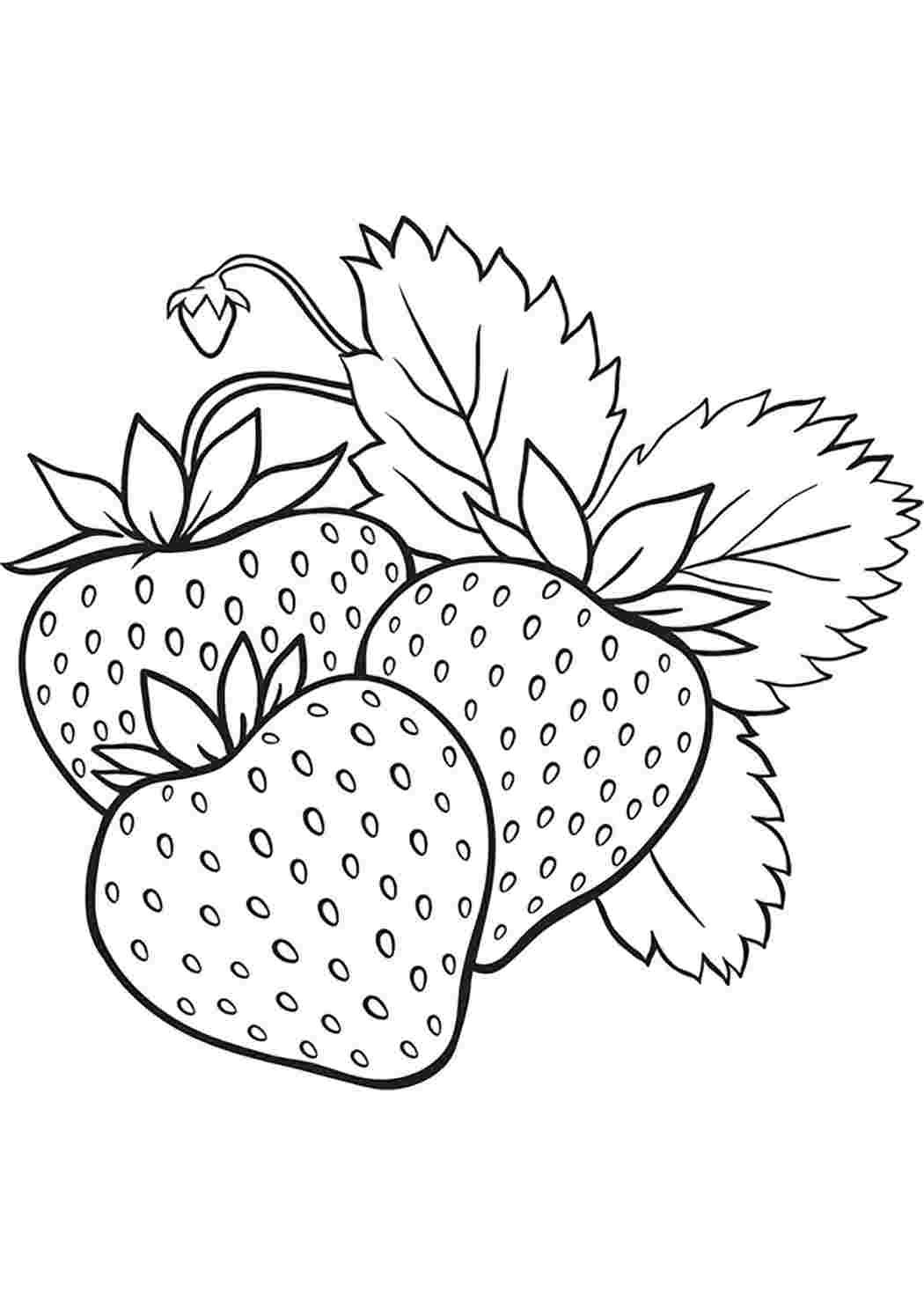 Ягоды раскраска для детей
