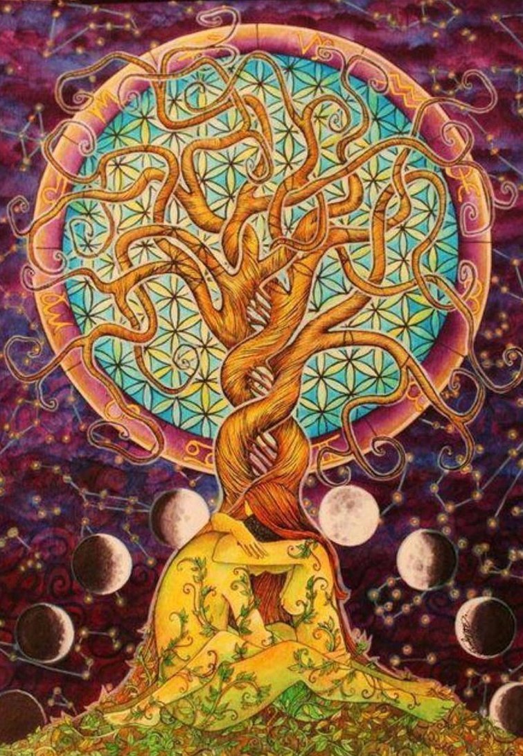 Томаш Ален Копера картины