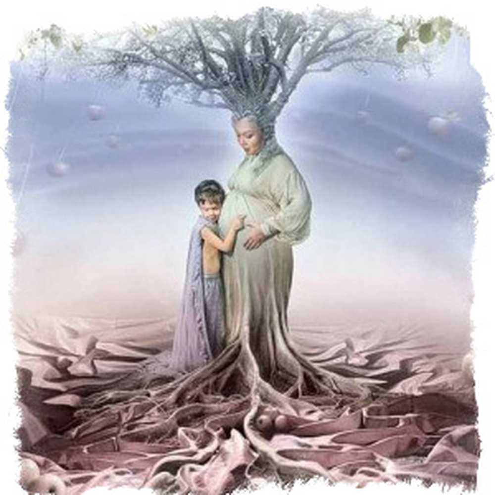 Эзотерика дерево жизни