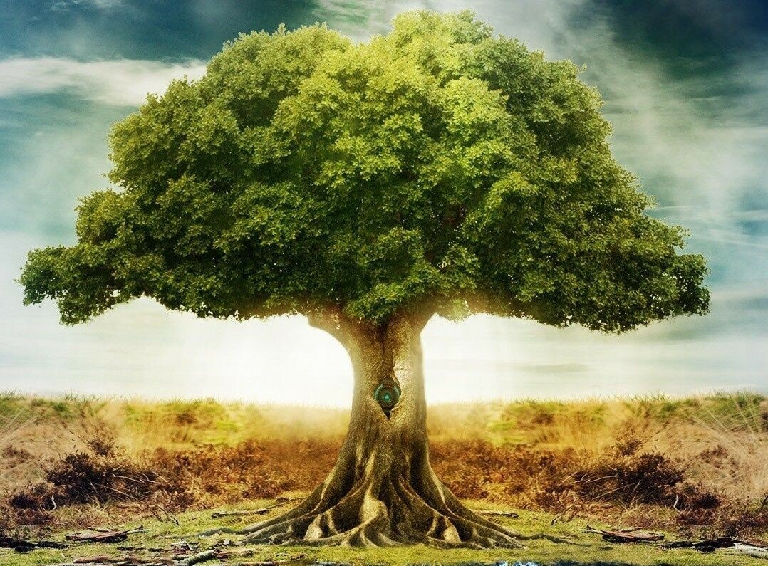 Родовое Древо с корнями