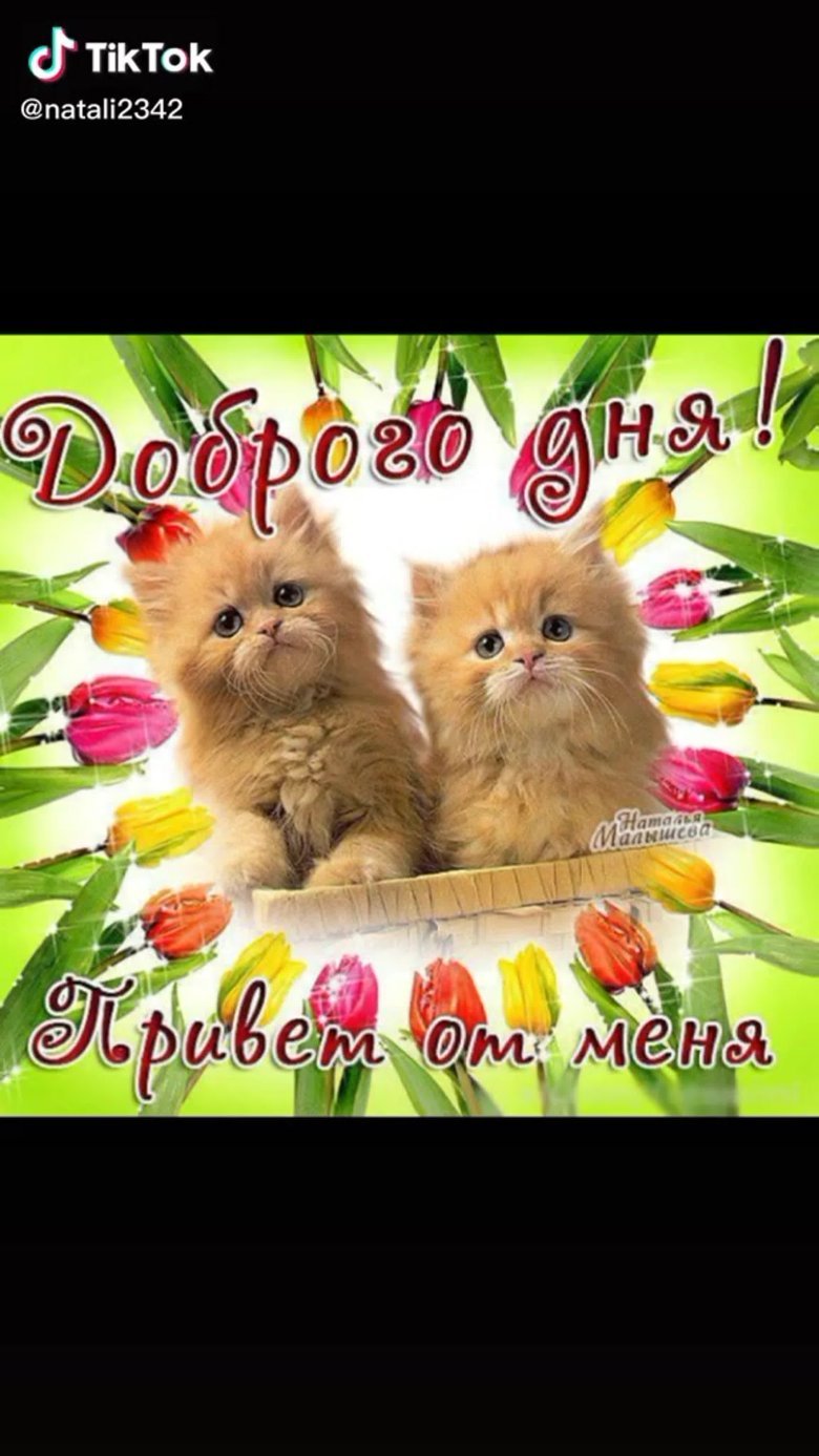 Добрый день любимый