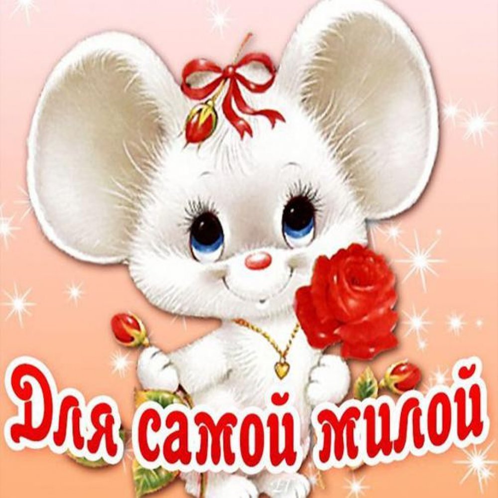 Открытки для любимой девушки прикольные