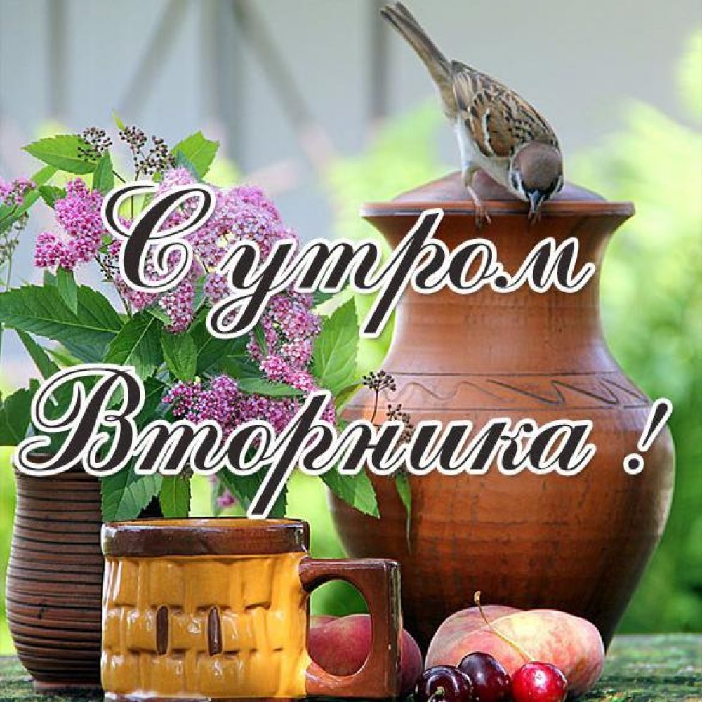 Хорошего воскресенья