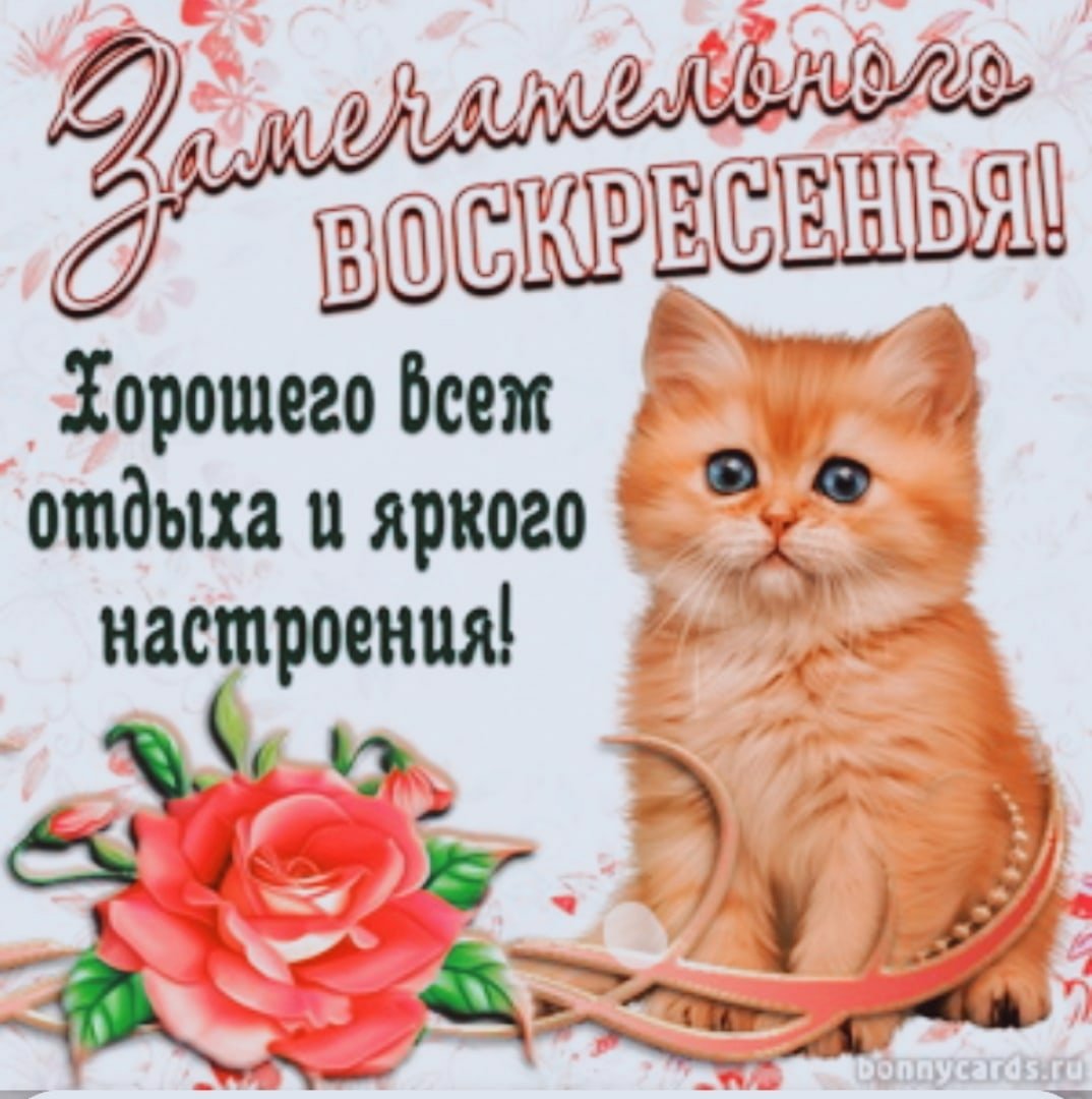 Добрый день