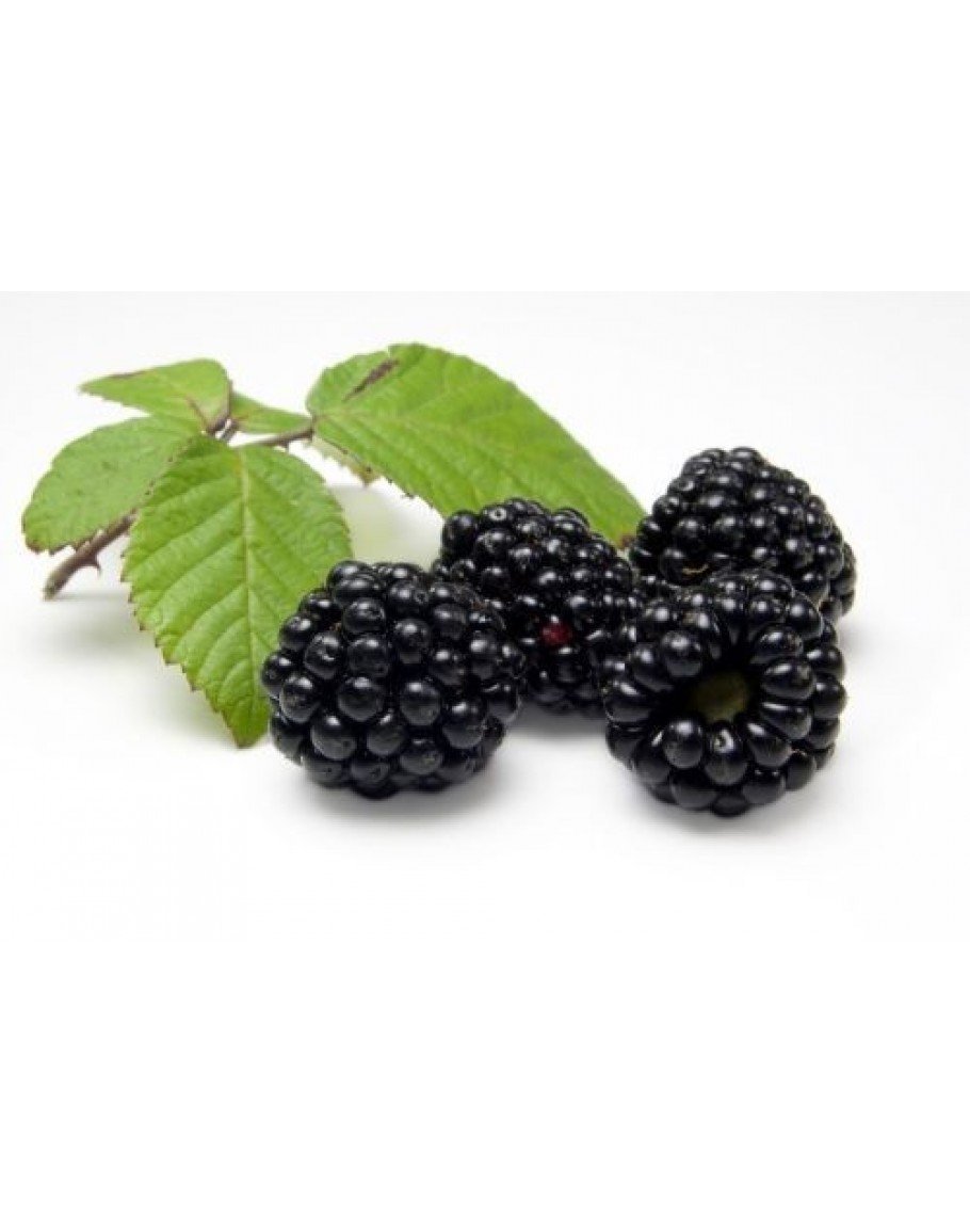 Малина картинка для детей на прозрачном фоне