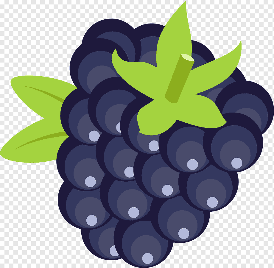 Ежевика для детей