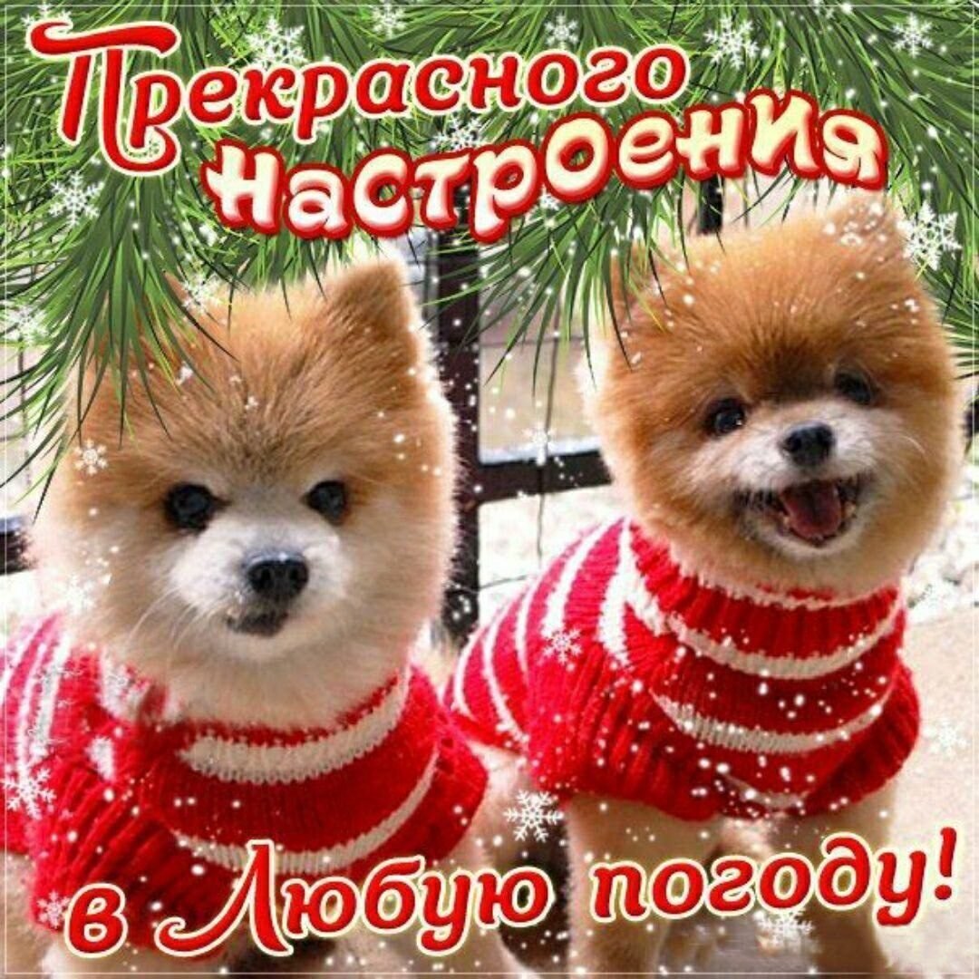 Доброе утро в любую погоду