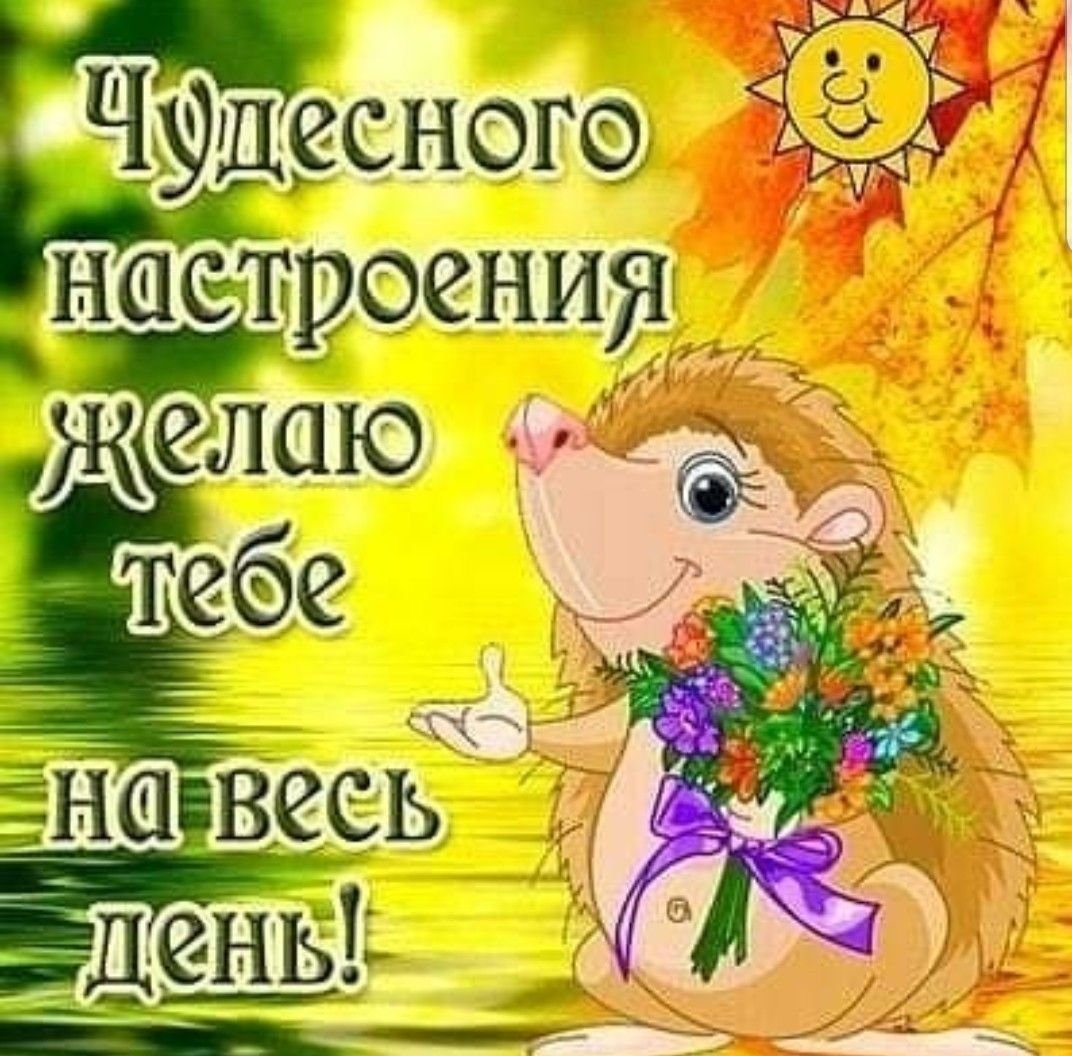 Солнечного утра и хорошего настроения