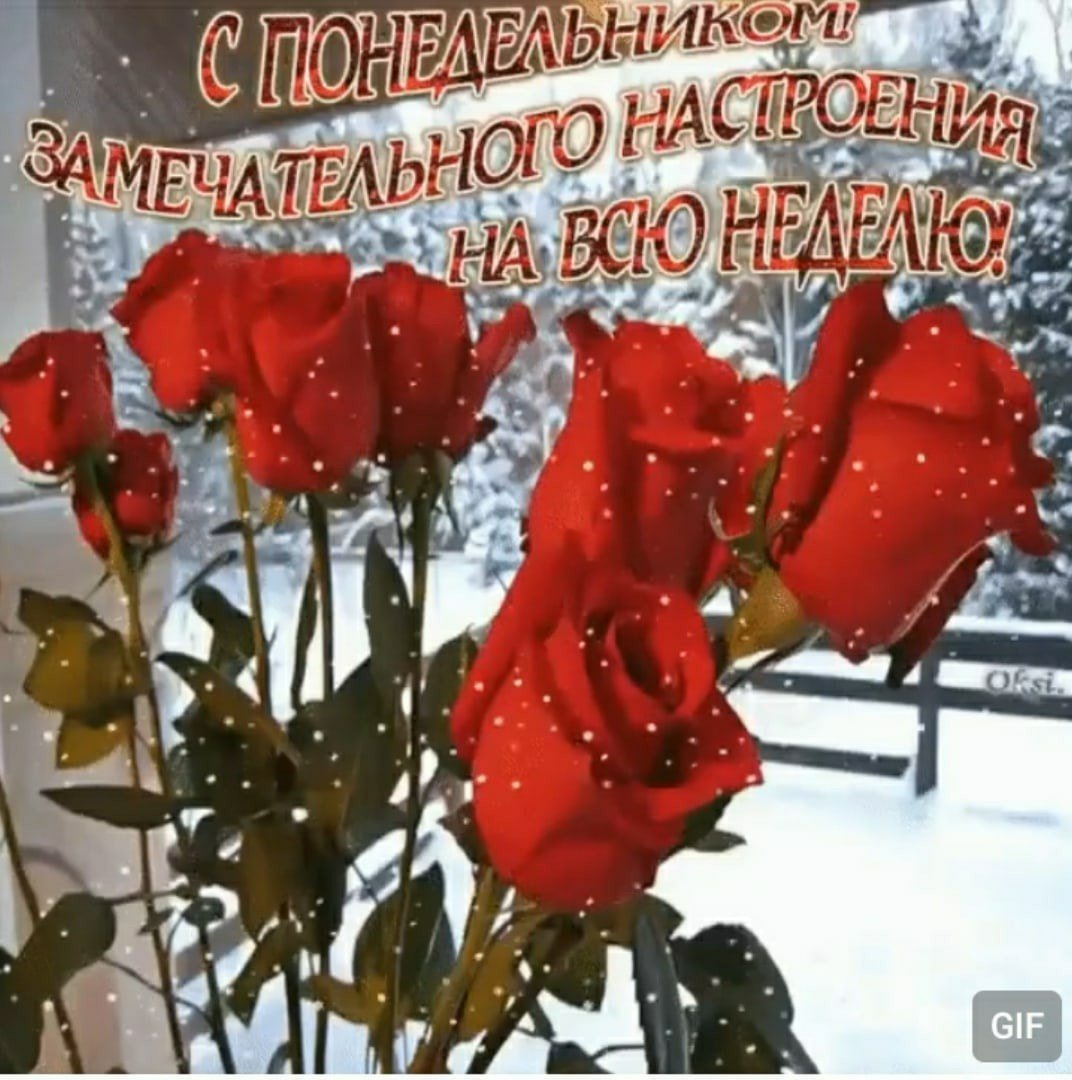 Хорошего настроения в дождливую погоду