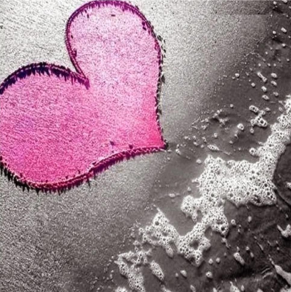 Силуэт женщины черный с бабочкой в руках половина тела