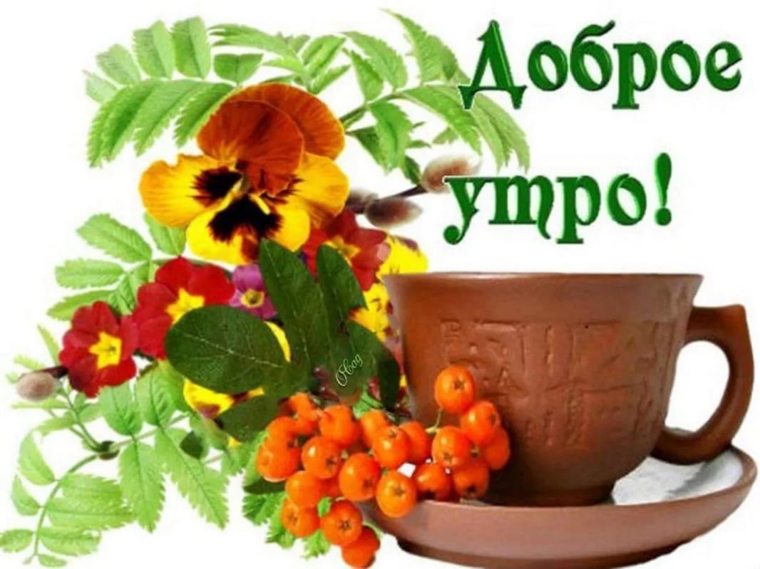Доброе утро хорошего настроения