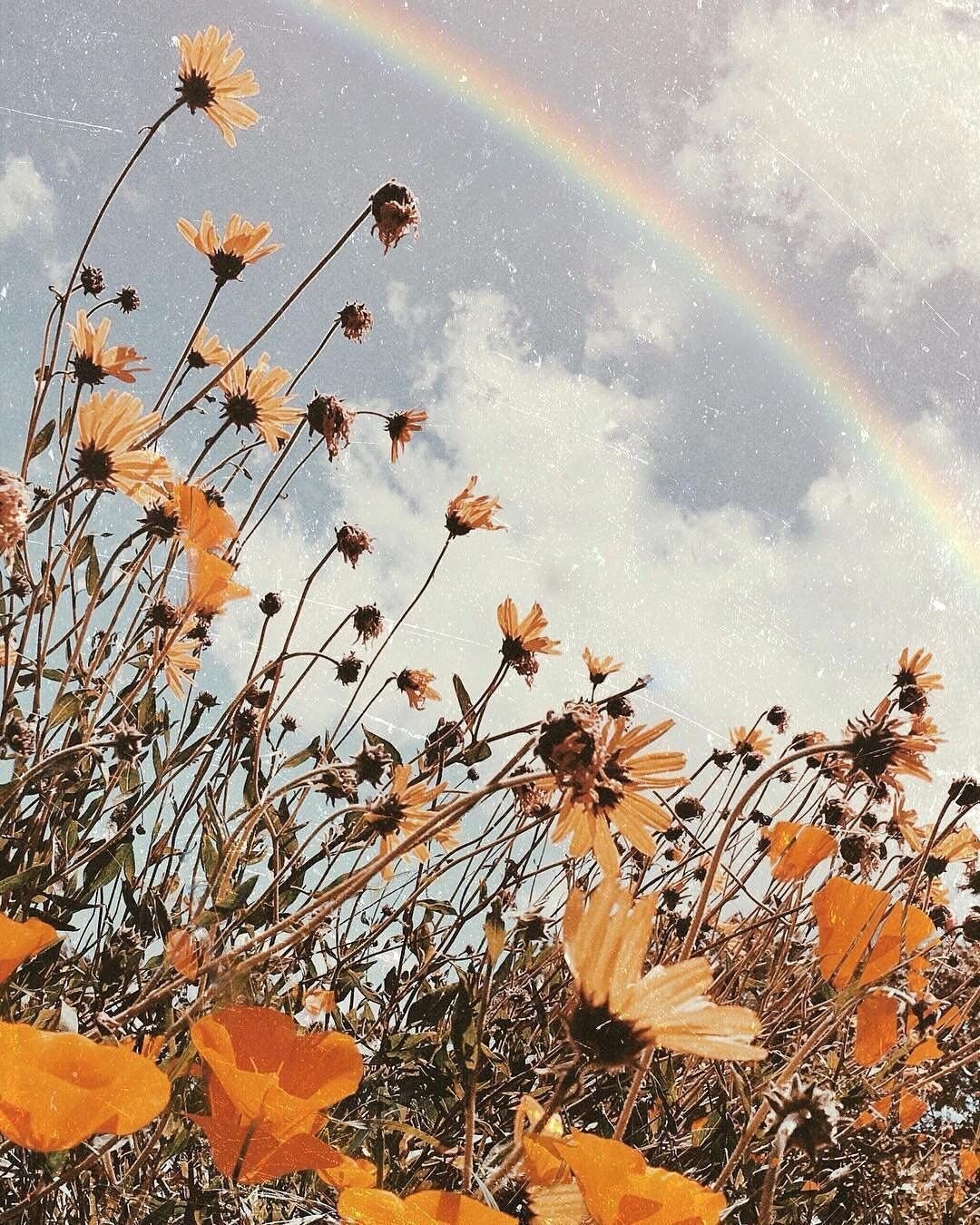 Эстетика летом