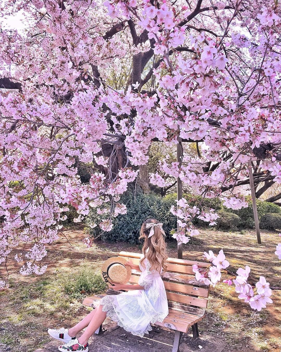 Девушка цветущее дерево