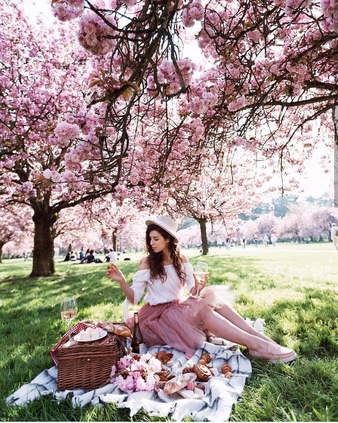 Картинки стильные с цветущими деревьями