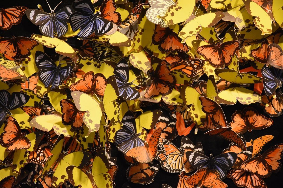 Пазлы бабочки в цветах