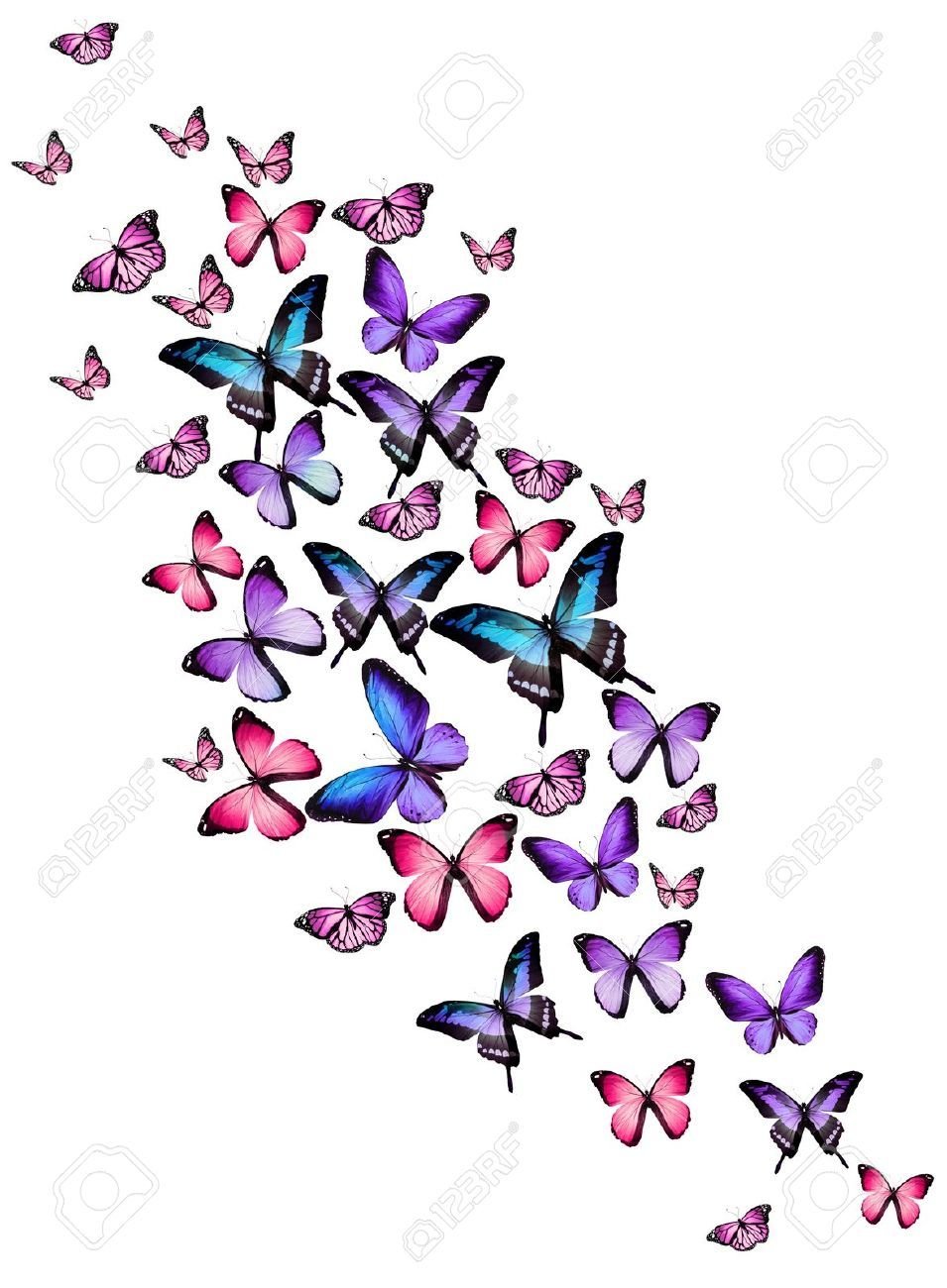 Бабочки для декора